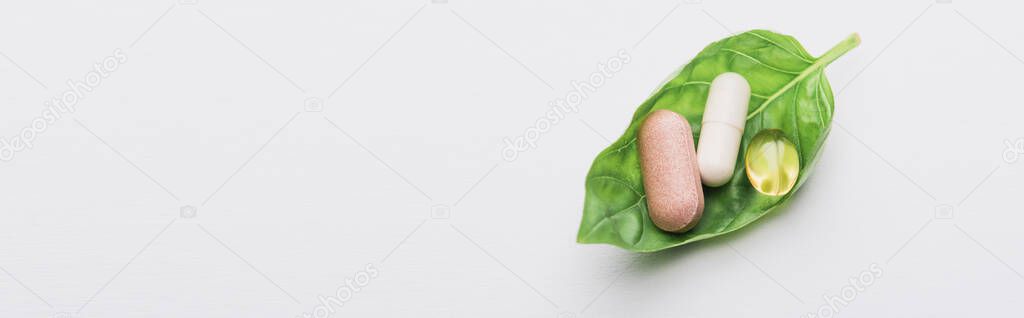 panoramic shot of pills on green leaf on white background, naturopathy concept