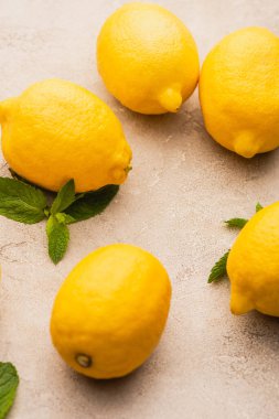 Nane yeşili yapraklı olgun sarı limonlar bej beton yüzeyde