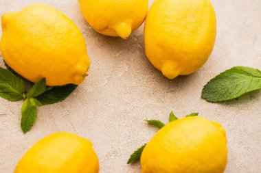 Nane yeşili yapraklı olgun sarı limonlar bej beton yüzeyde