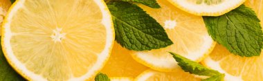 Nane yeşili yapraklı dilimlenmiş sarı limon manzarası, panoramik çekim.