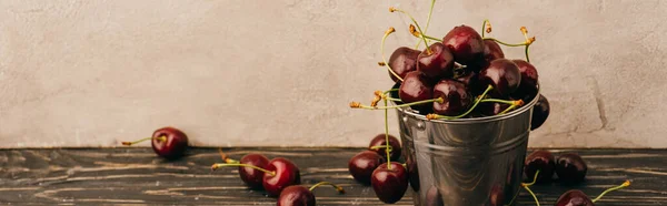 Wet Ripe Sweet Cherries Metal Bucket Wooden Surface Panoramic Shot — Stock Photo, Image