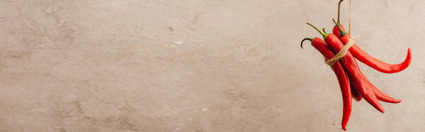 Куча красного перца чили, привязанного веревкой на бежевом бетонном фоне, панорамный снимок