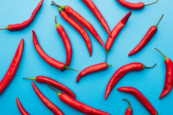 Vrchní Pohled Pikantní Červené Chilli Papričky Modrém Pozadí — Stock fotografie