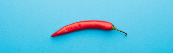 Top View Spicy Red Chili Pepper Blue Background Panoramic Shot — Stock Photo, Image