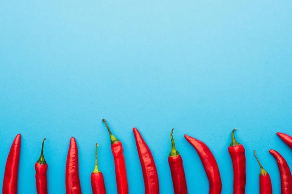 Top View Spicy Red Chili Peppers Blue Background Copy Space — Stock Photo, Image