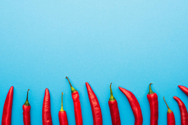 top view of spicy red chili peppers on blue background with copy space