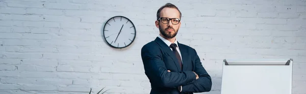 website header of bearded lawyer in suit standing with crossed arms