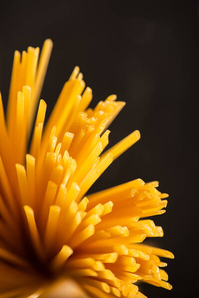 close up view of uncooked Italian spaghetti isolated on black