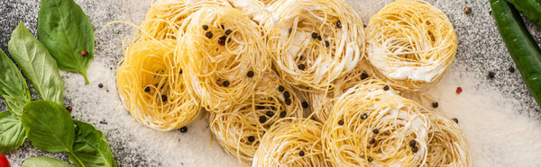 top view of raw Capellini pasta with basil, spices and flour, panoramic shot