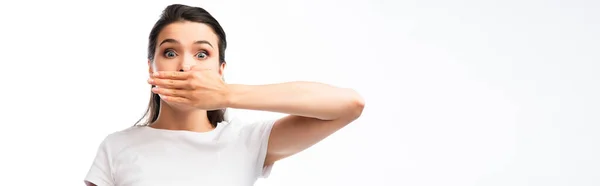 Panoramic Shot Shocked Brunette Woman White Shirt Covering Mouth Isolated — Stock Photo, Image