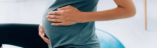 Panoramic Crop Pregnant Sportswoman Touching Tummy Fitness Ball Home — Stock Photo, Image