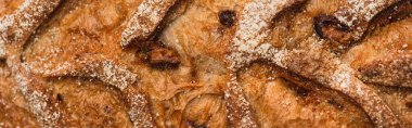 close up view of fresh baked bread crust, panoramic shot clipart