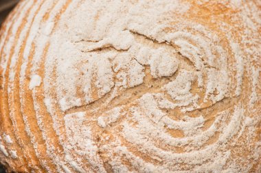 close up view of fresh baked bread crust with flour clipart