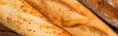 close up view of fresh baked baguette loaves, panoramic shot clipart