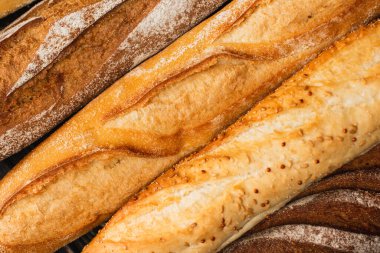close up view of fresh baked baguette loaves clipart