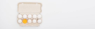 top view of fresh chicken eggs and yolk in cardboard box isolated on white, panoramic shot clipart