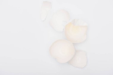 Beyaz üzerinde izole edilmiş yumurta kabuğunun üst görünümü