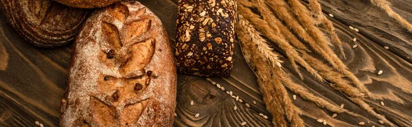 Fresh Baked Bread Loaves Spikelets Wooden Surface Panoramic Shot — Stock Photo, Image