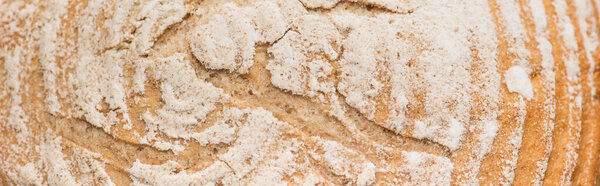close up view of fresh baked bread crust with flour, panoramic shot
