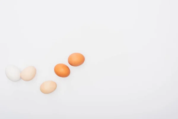 白に隔離された新鮮な鶏の卵のトップビュー — ストック写真