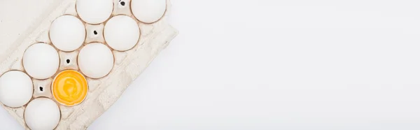 白くてパノラマ的なショットに隔離された段ボール箱の中の新鮮な鶏の卵と黄身のトップビュー — ストック写真
