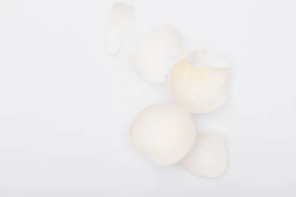 Vista Dall Alto Del Guscio Uovo Isolato Bianco — Foto Stock