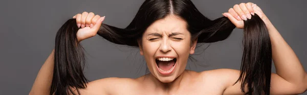 Naked Upset Brunette Woman Holding Damaged Hair Yelling Isolated Black — Stock Photo, Image