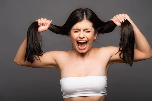 Mujer Morena Molesta Sosteniendo Cabello Dañado Gritando Aislado Negro —  Fotos de Stock