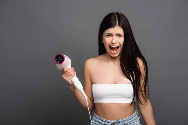 Brunette Woman Holding Hair Dryer Yelling Isolated Black — Stock Photo, Image