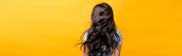 back view of wind blowing through brunette hair of woman with curls isolated on yellow, panoramic shot