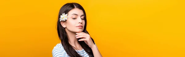 Jovem Morena Com Flores Cabelo Isolado Amarelo Tiro Panorâmico — Fotografia de Stock