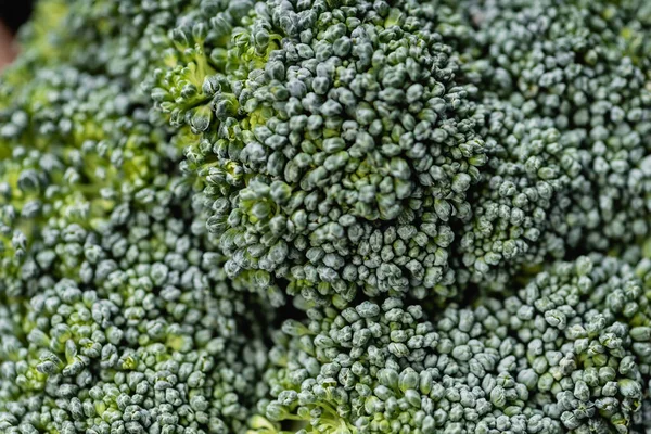 Närbild Färsk Grön Broccoli — Stockfoto