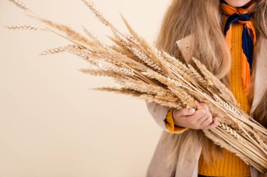Sonbahar kıyafetli şık sarışın kızın bej rengi buğday başaklarıyla izole edilmiş görüntüsü.