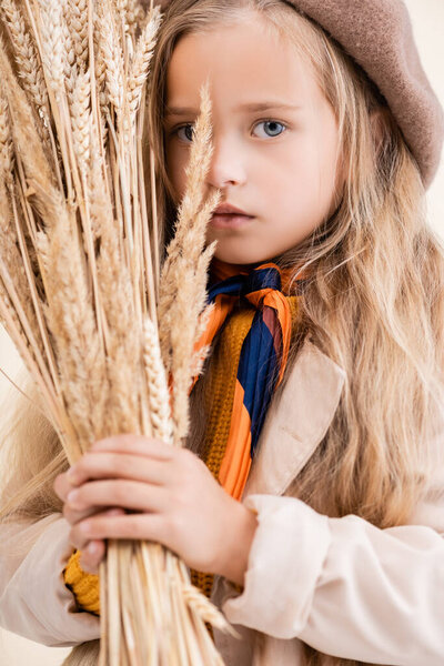 модная блондинка в осеннем наряде с шипами пшеницы