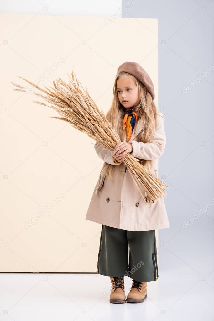 fashionable blonde girl in autumn outfit with wheat spikes on beige and white background