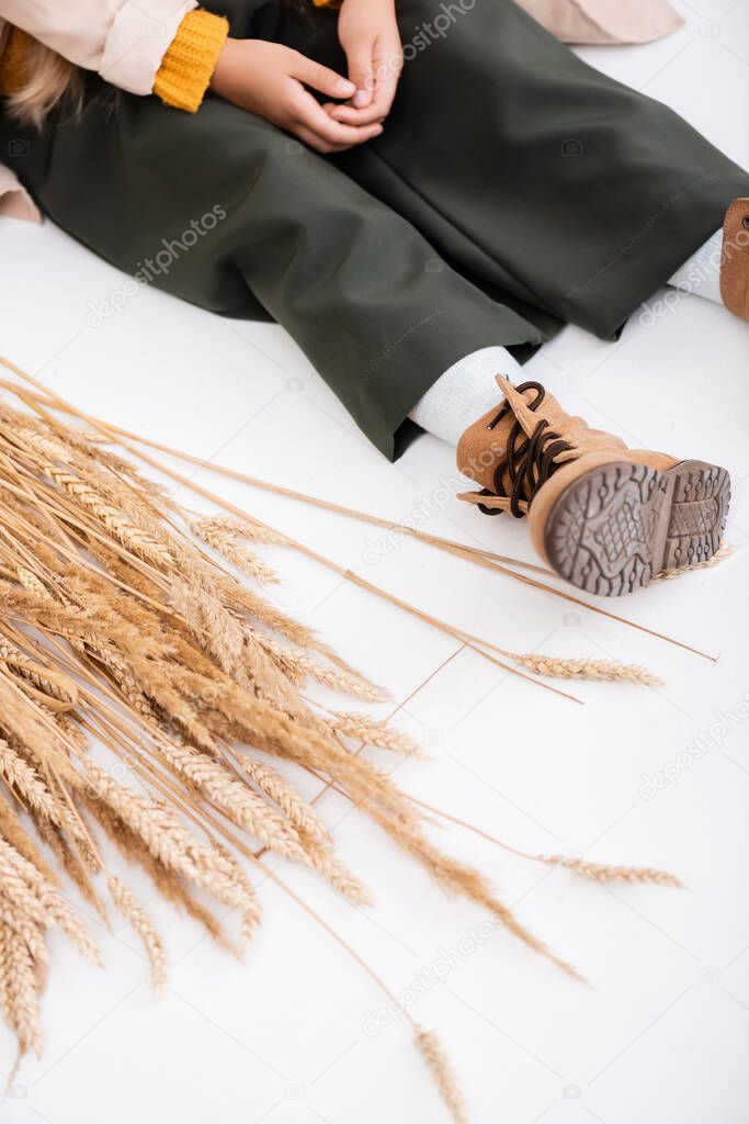 cropped view of fashionable blonde girl in autumn outfit sitting on floor near wheat spikes on white background