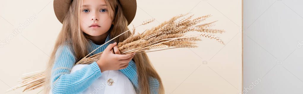 fashionable blonde girl in hat, white skirt and blue sweater with wheat spikes sitting on beige background, panoramic shot