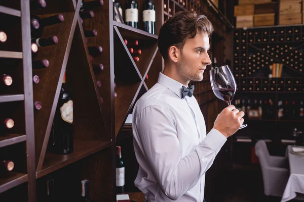 Selective focus of young sommelier smelling wine in glass while working in restaurant