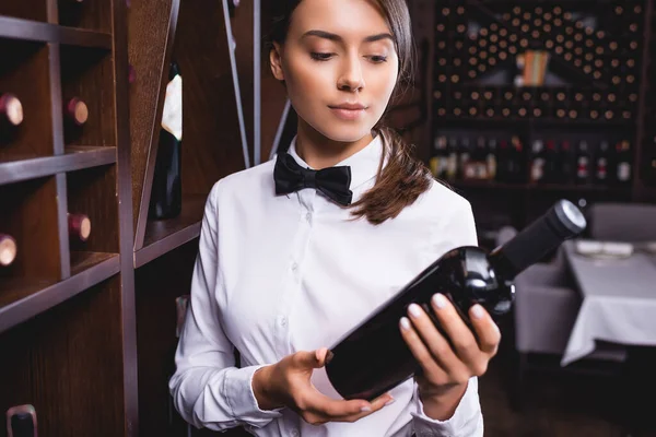 Selective Focus Young Sommelier Formal Wear Looking Bottle Wine Restaurant — Stock Photo, Image