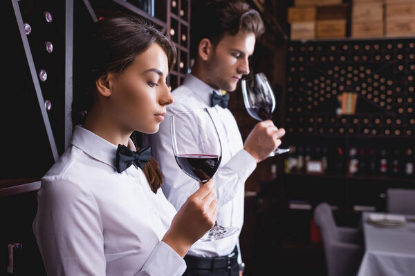 Selective focus of sommeliers smelling wine in glasses in restaurant 
