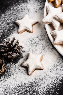 Çam kozalağının yanında şeker tozuyla kaplı zencefilli kurabiye.
