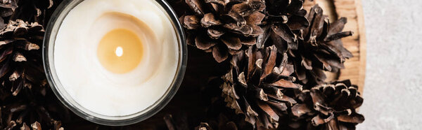Panoramic shot of scented candle with pine cones