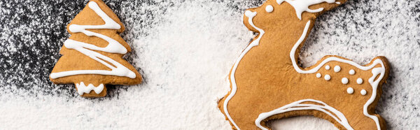 Panoramic shot of gingerbread cookies decorated with sugar powder