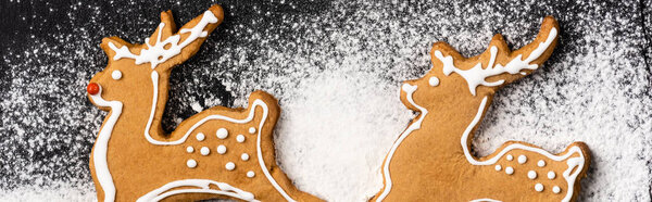 Panoramic shot of gingerbread cookies with sugar powder