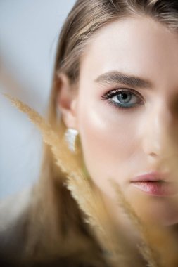 Ön plandaki buğday dikenlerinin arasından kameraya bakan genç kadının kısmi görüntüsü 