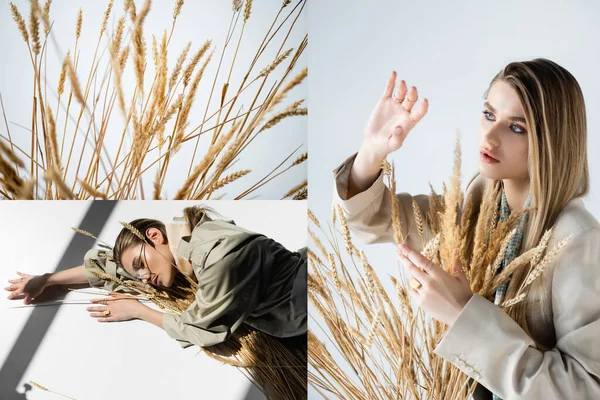 Collage Young Trendy Woman Glasses Lying Touching Wheat White — Stock Photo, Image