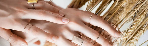 Cropped View Female Hands Golden Rings Fingers Wheat Banner — Stock Photo, Image