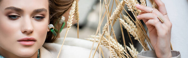 top view of young woman lying near wheat spikelets on white, banner