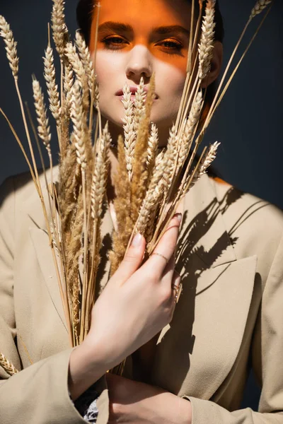 Young Woman Blazer Looking Camera Holding Wheat Spikelets Dark Grey — Stock Photo, Image