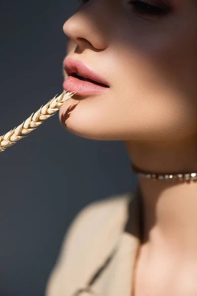 Partial View Young Woman Wheat Spikelet Dark Grey — Stock Photo, Image